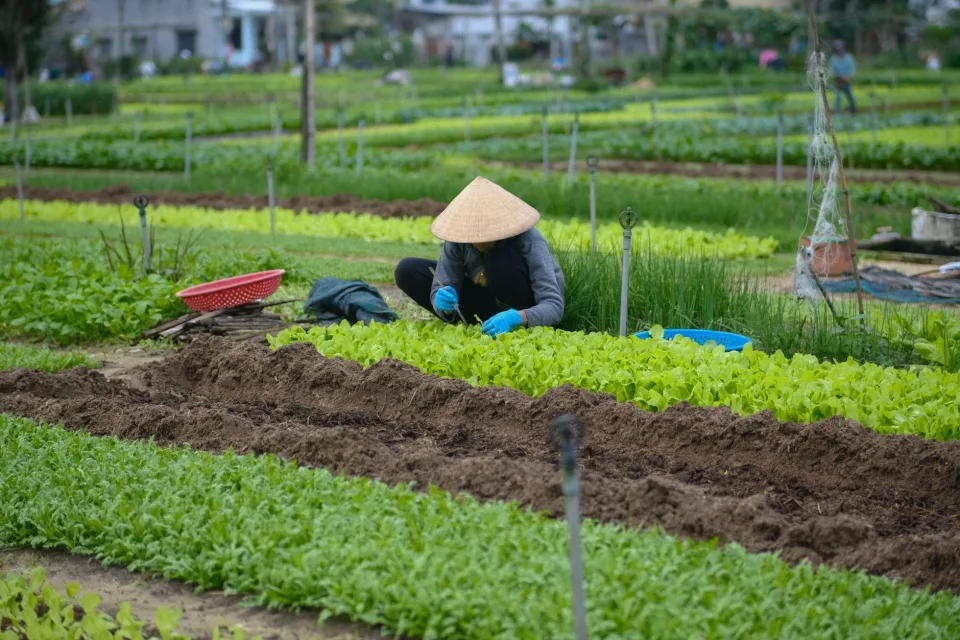 Vật tư thiết yếu cho nhà vườn